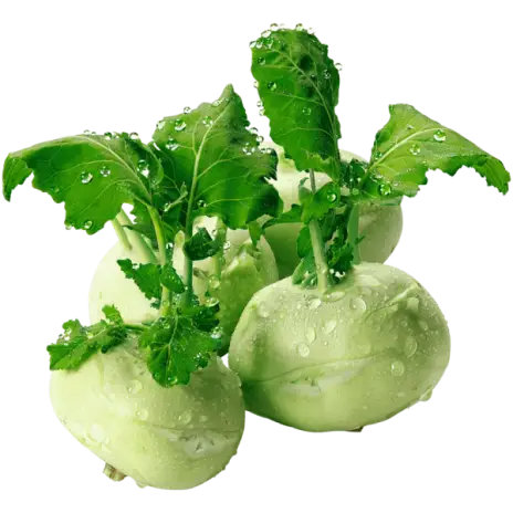 cabbage-kohlrabi