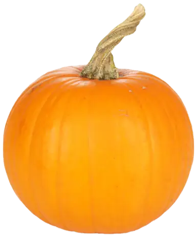 etc-pumpkin