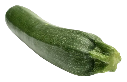 etc-zucchini-2